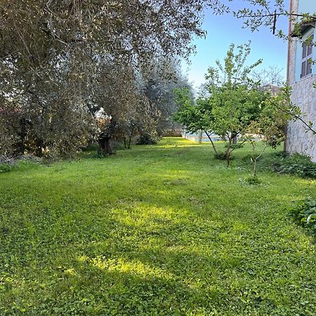 Villa La Piccola Provenza à Fiano Romano Extérieur photo