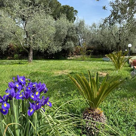 Villa La Piccola Provenza à Fiano Romano Extérieur photo