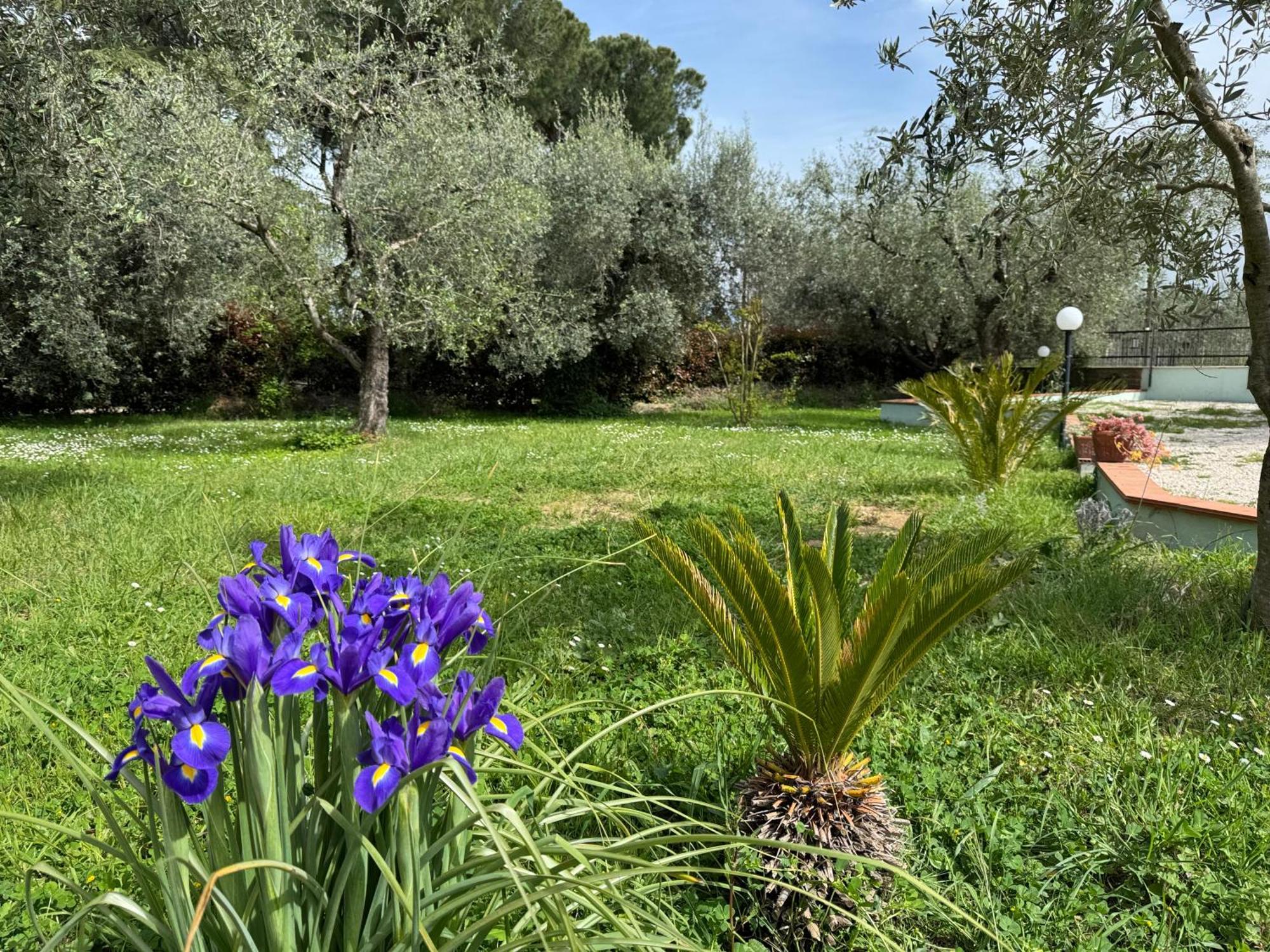 Villa La Piccola Provenza à Fiano Romano Extérieur photo